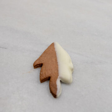 pastes de tu fulla xocolata negre i blanc